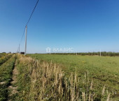 земля 11.6 сот 