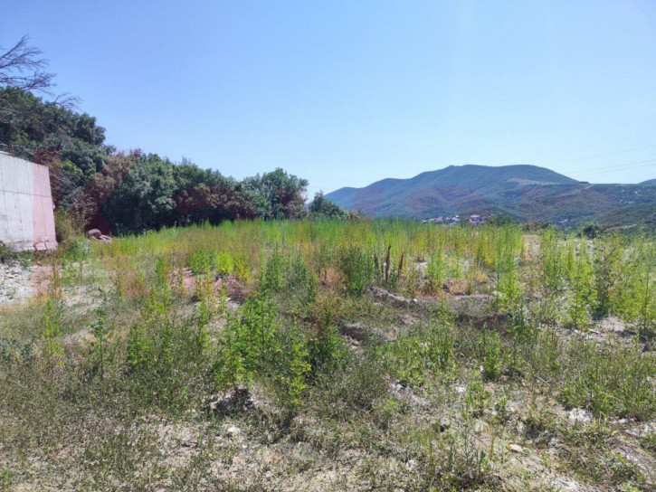 Земельный участок Южный