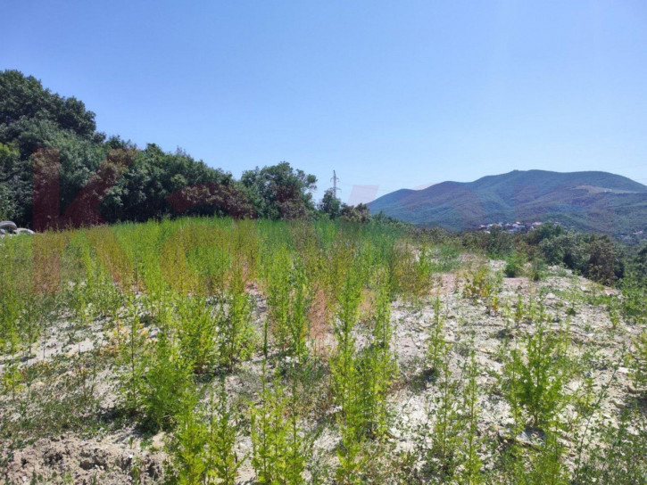 Земельный участок Южный