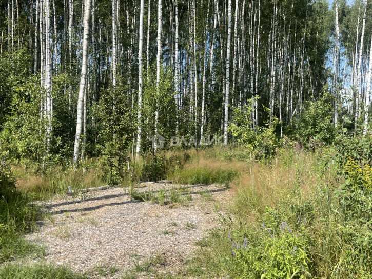 Земельный участок Октябрьский район