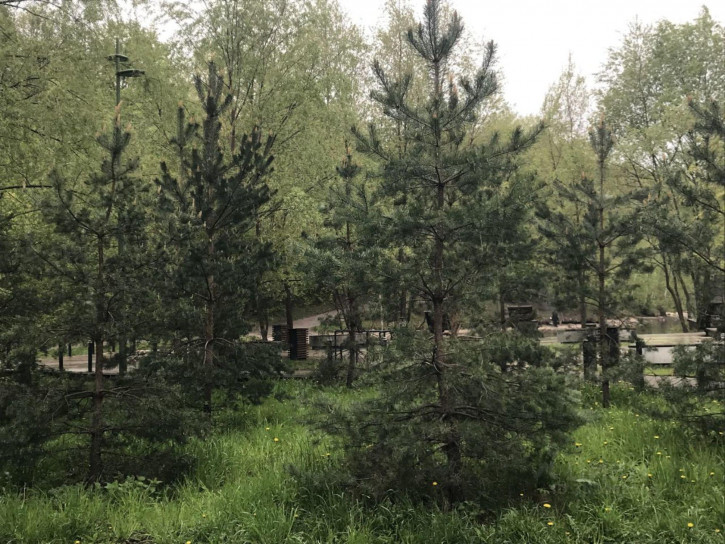 Комната улица Солидарности, 21,  д. 21