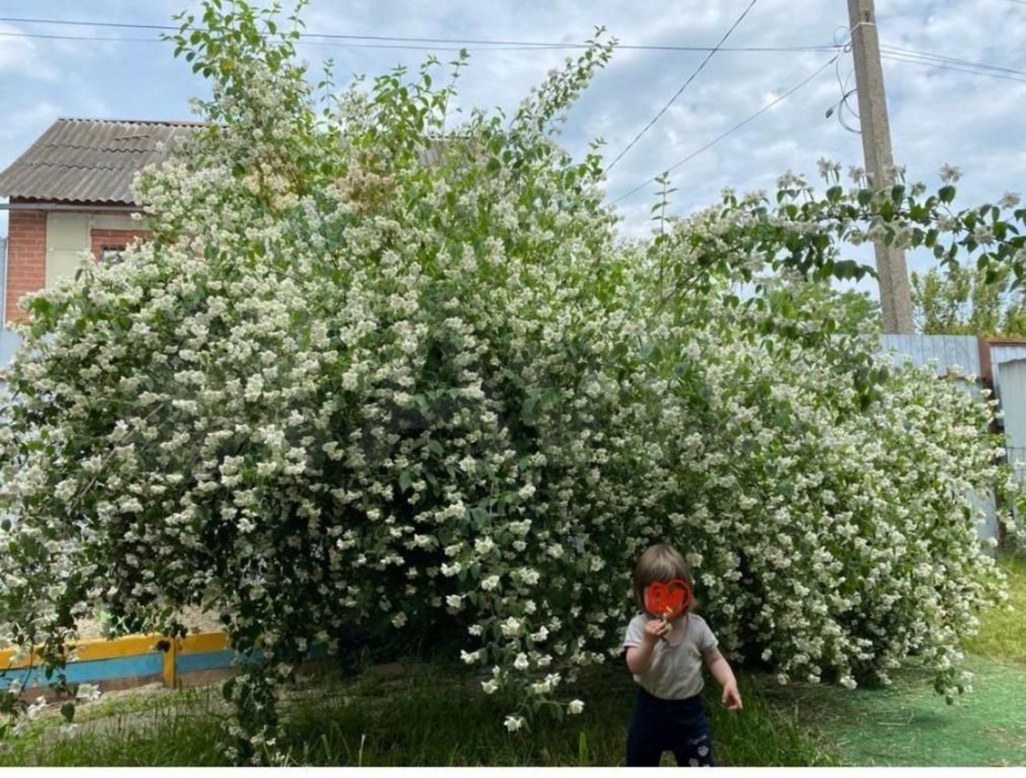 Купить дачу, дом, коттедж за 2 750 000 рублей на Цветочная ул, 41