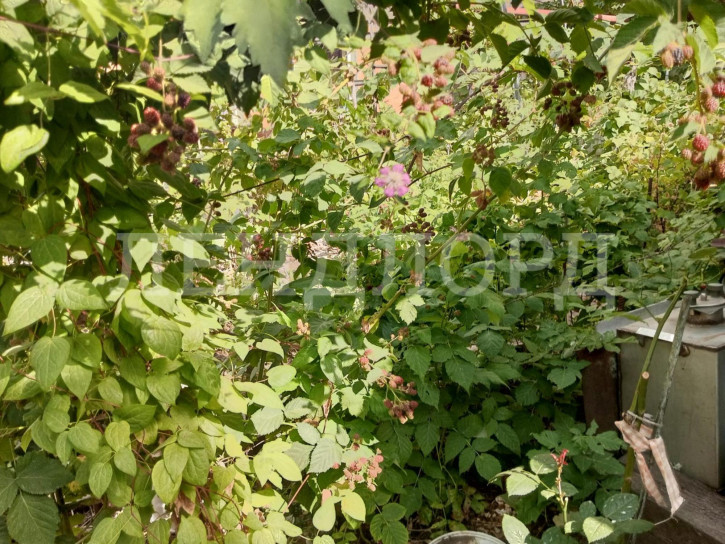 Земельный участок Волнистая улица