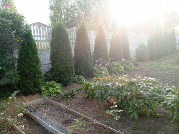 Коттедж/дом , 33 Коттедж/дом , 33