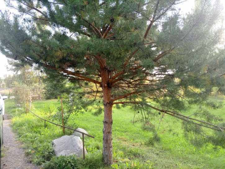 Коттедж/дом , 33 Коттедж/дом , 33