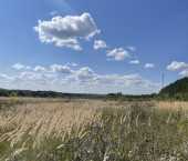 земля 472 сот Пантелеево д