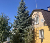 коттедж 40 кв м СНТ Модуль тер
