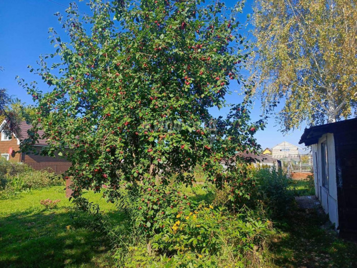 Коттедж/дом Новосибирск