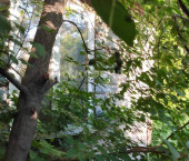 1-комн, 27.6кв м, этаж 1/1 Большая улица, д.5