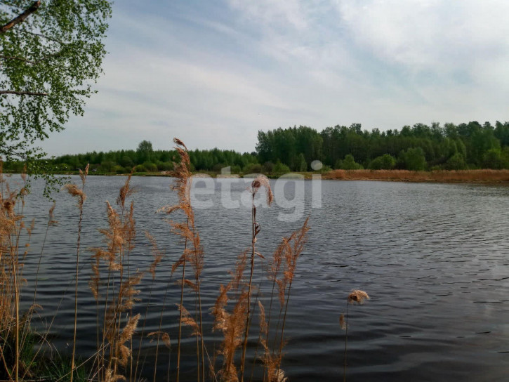Земельный участок Берега ДНП