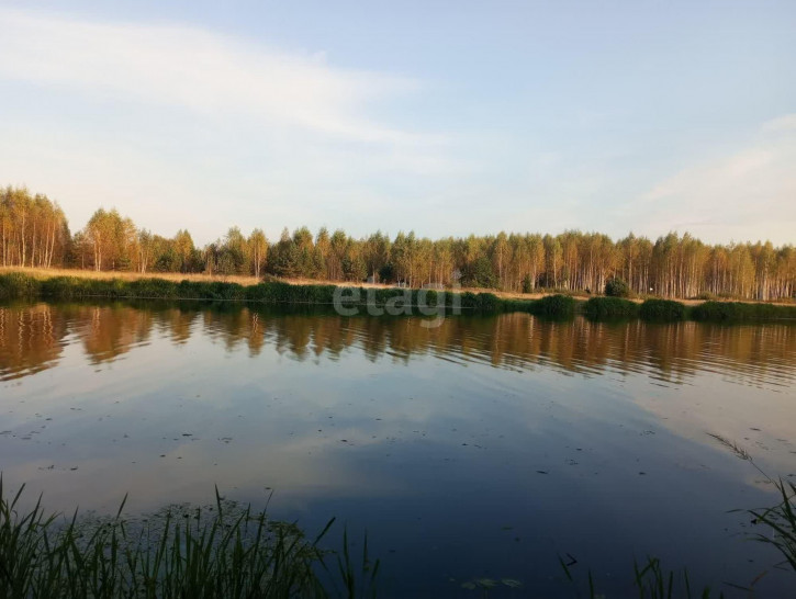 Земельный участок Берега ДНП
