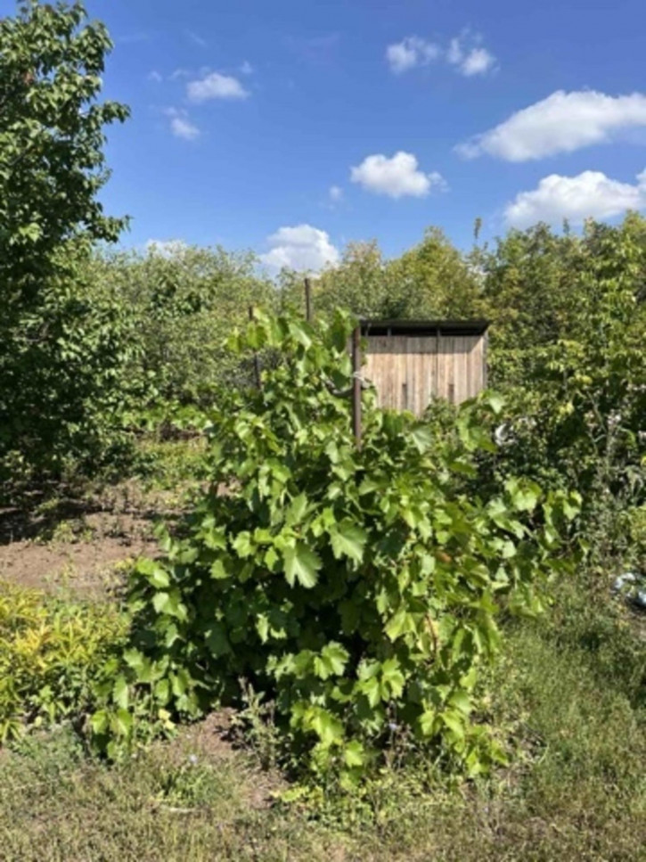 Земельный участок СТ завод Клапанов