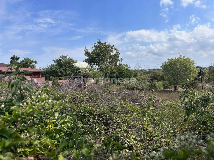 Земельный участок территория СТ Парус-4 Земельный участок территория СТ Парус-4