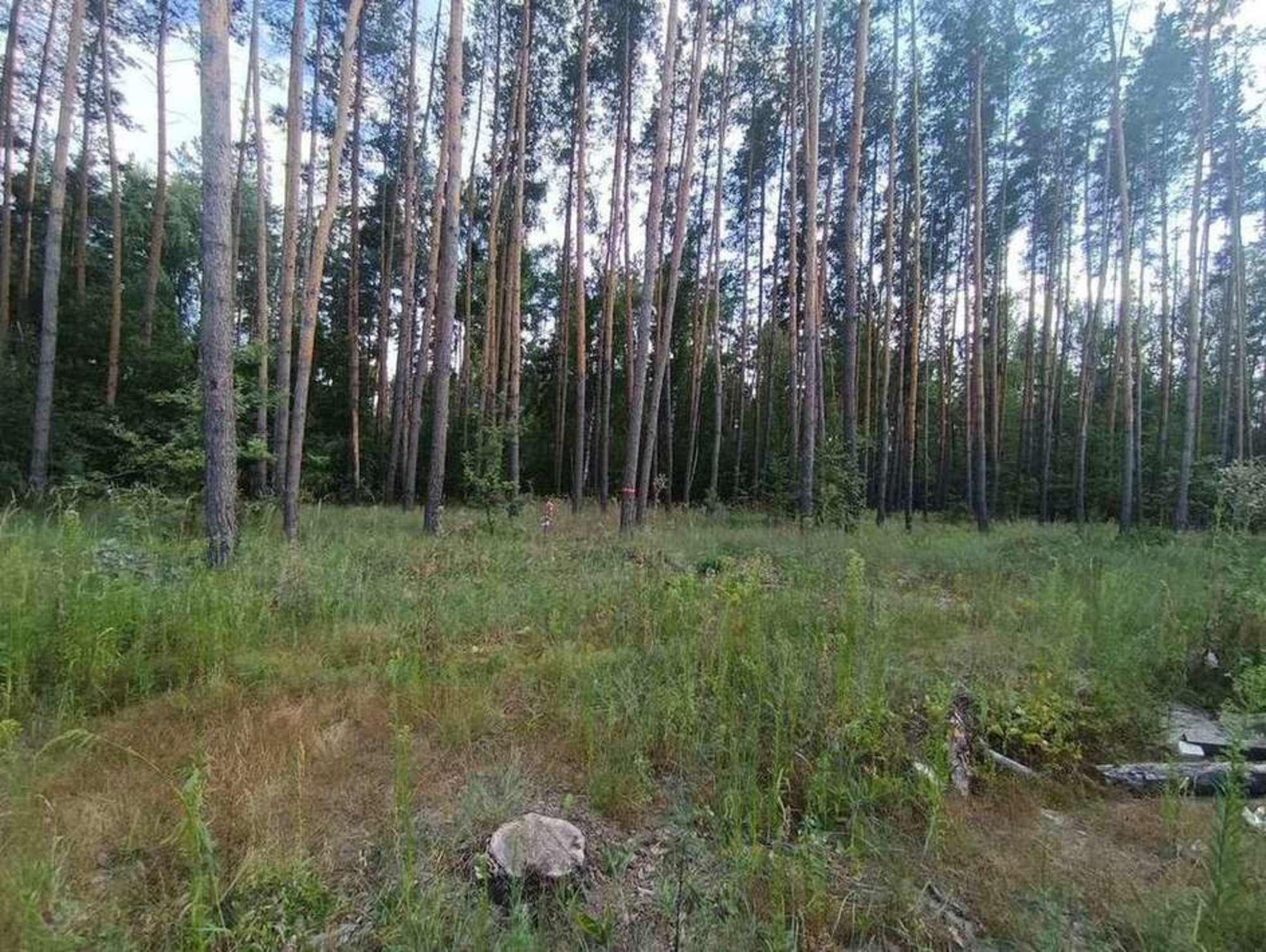 Купить землю, земельный участок за 5 300 000 рублей на Захлебная улица, 8 Купить землю, земельный участок за 5 300 000 рублей на Захлебная улица, 8