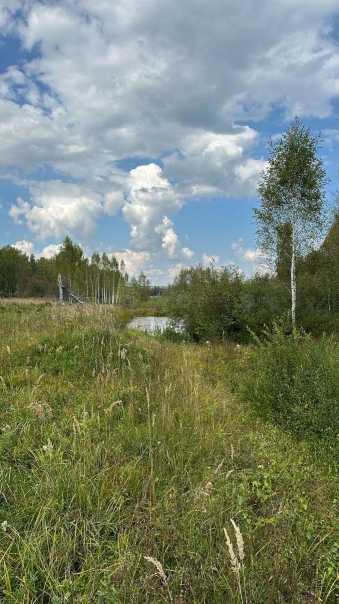 Купить землю, земельный участок за 2 800 000 рублей на ул. Луговая, дом 5062