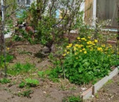 коттедж 15.3 кв м улица СНТ Белый Ключ