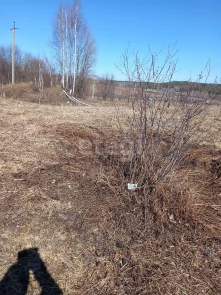 Коттедж/дом Центральный