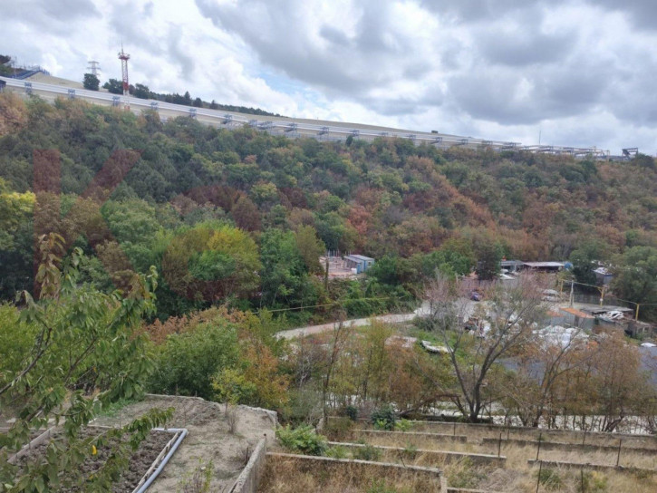 Земельный участок Нефтебаза Шесхарис ул.