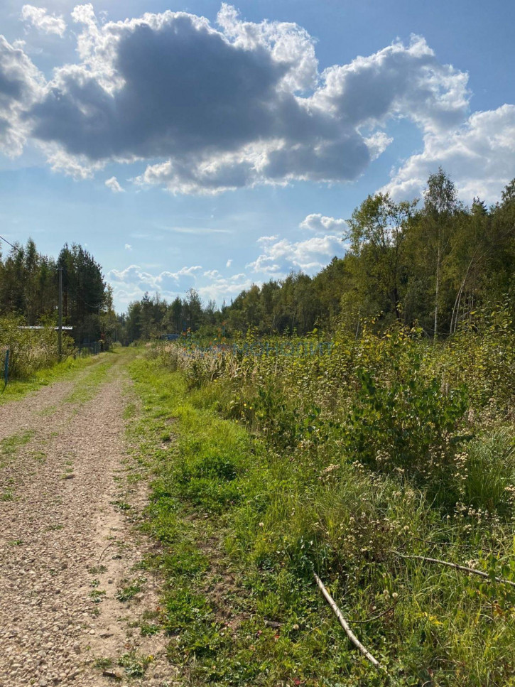 Земельный участок СНТ № 17 ОАО ГАЗ Родничок, -