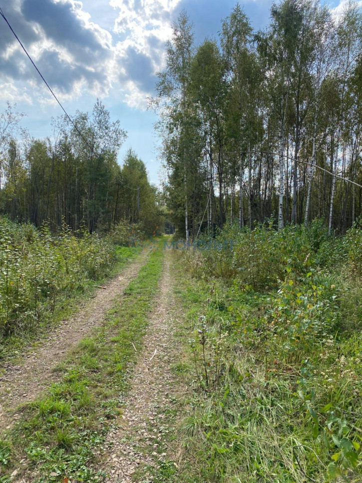 Земельный участок СНТ № 17 ОАО ГАЗ Родничок, -