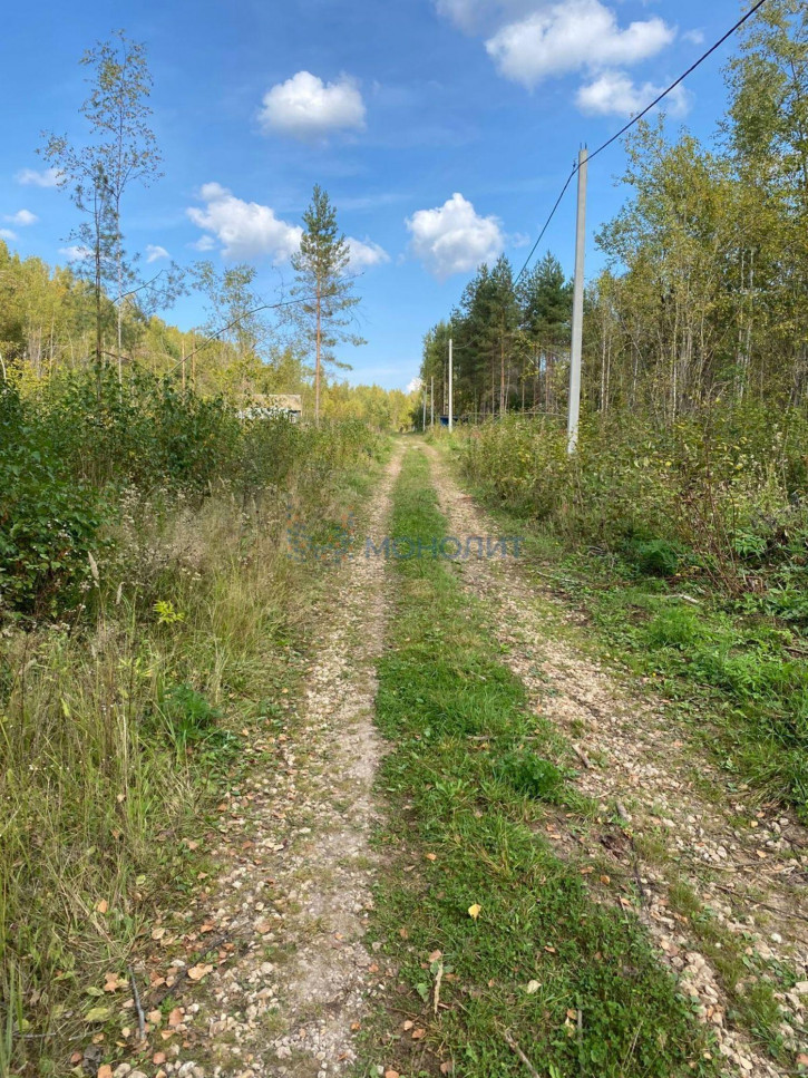 Земельный участок СНТ № 17 ОАО ГАЗ Родничок, -