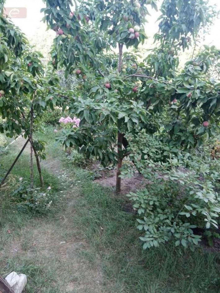 Коттедж/дом Арбатская улица