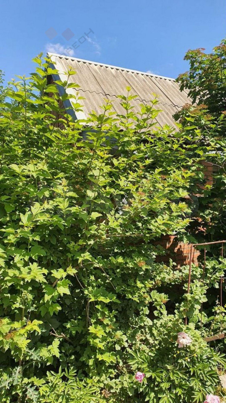 Коттедж/дом Ореховая ул, 141