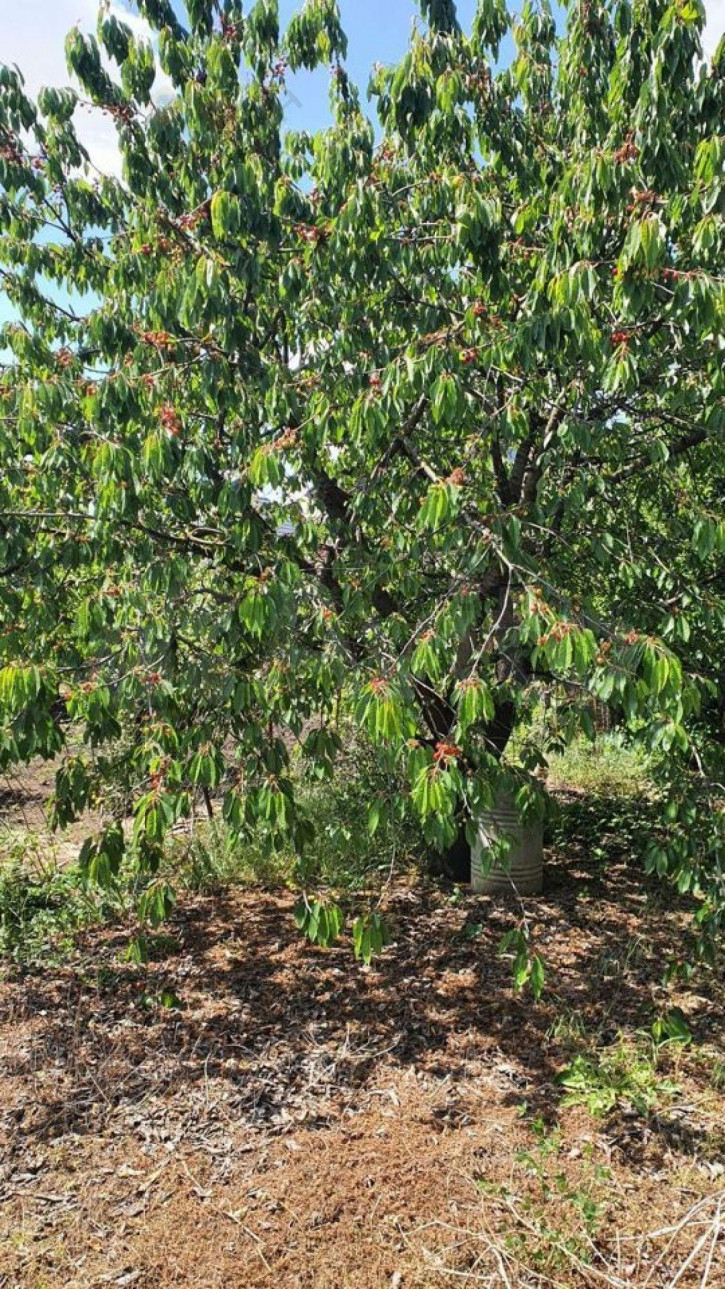 Коттедж/дом Ореховая ул, 141