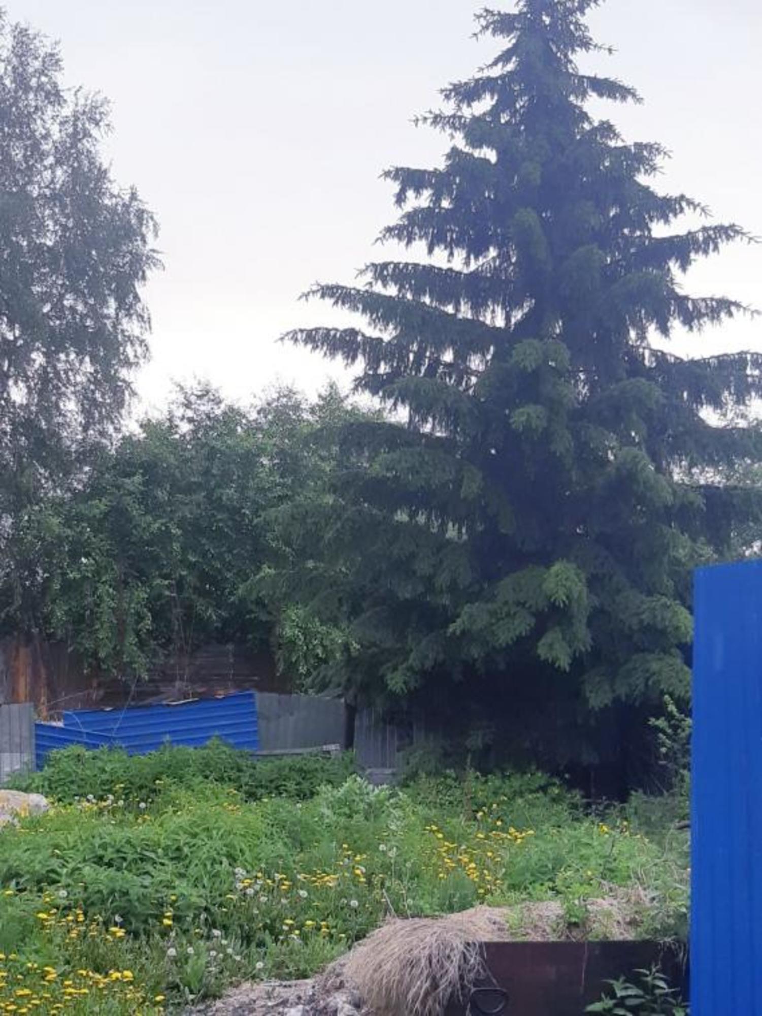Купить дачу, дом, коттедж за 3 000 000 рублей на Онежская, 37