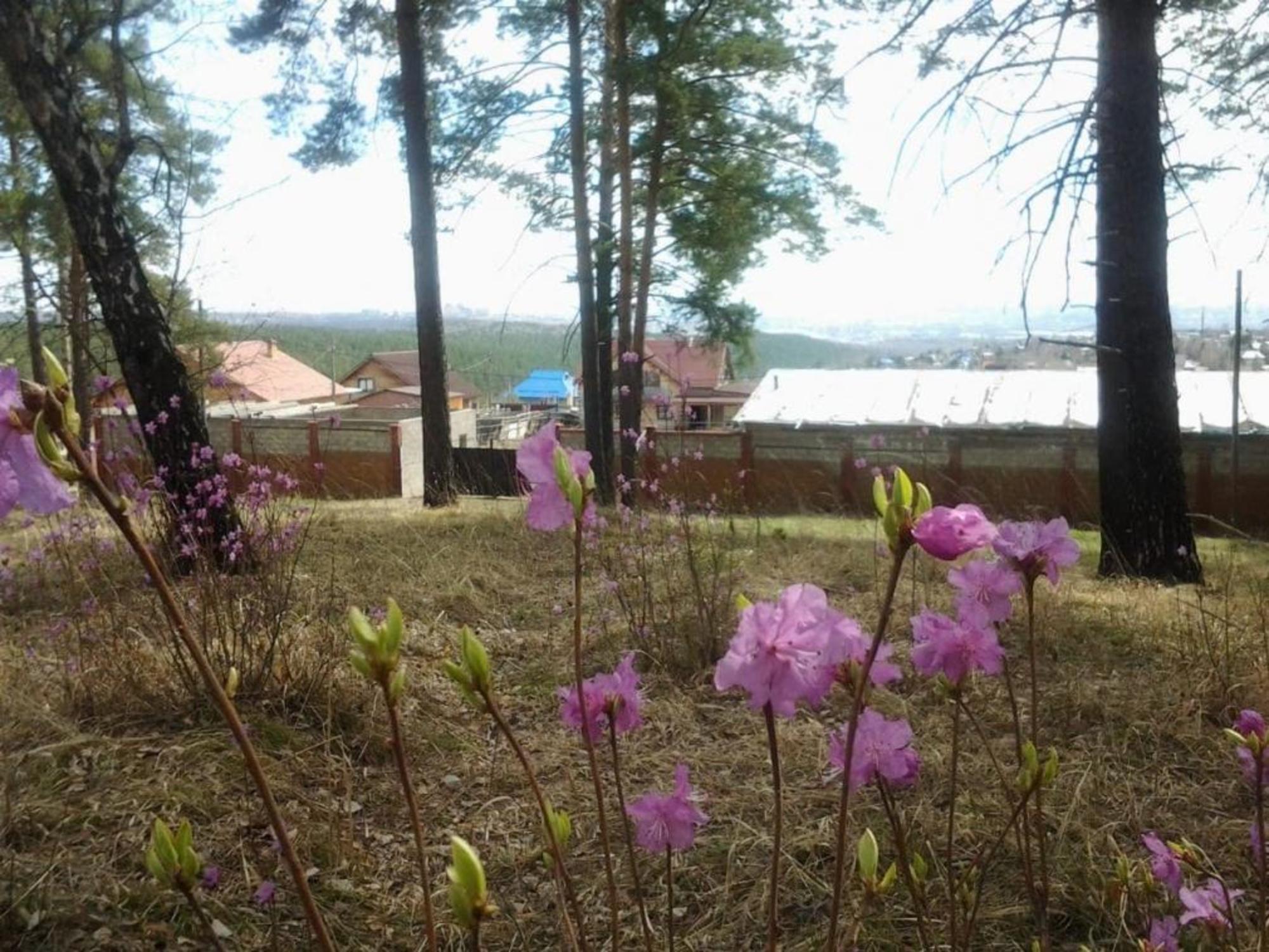 Купить дачу, дом, коттедж за 8 500 000 рублей на Звёздная, 58