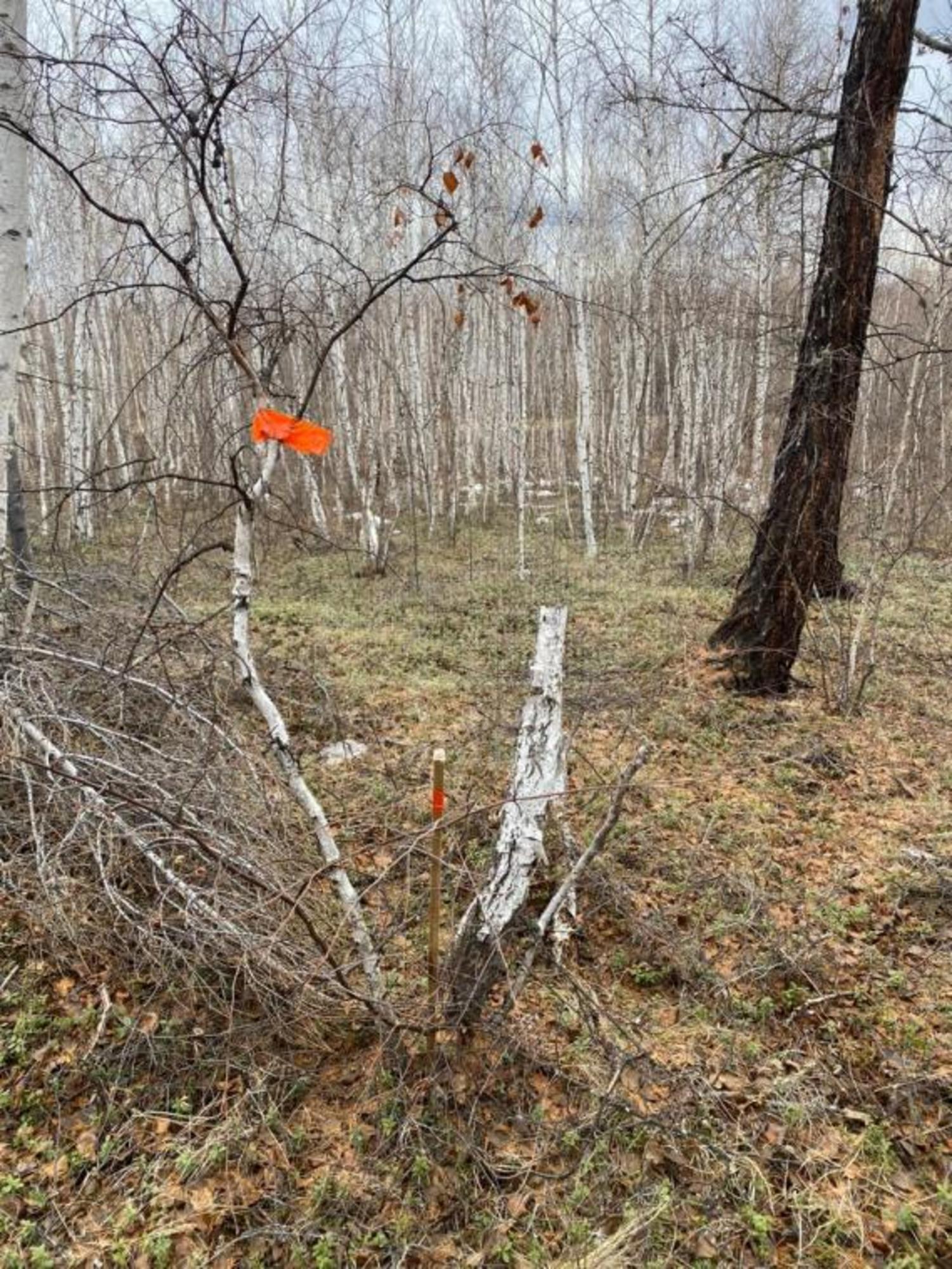 Купить землю, земельный участок за 1 300 000 рублей на Вилюйский тракт