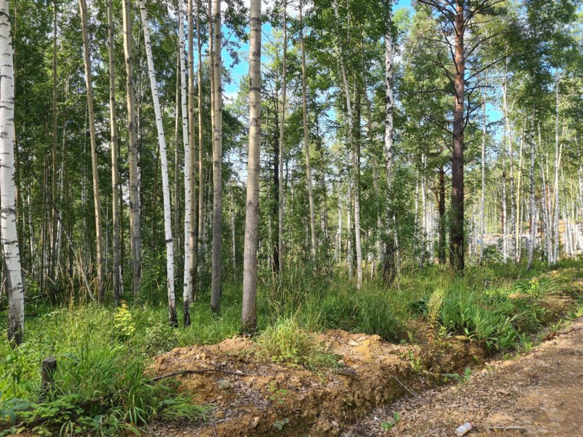 Купить землю, земельный участок за 16 000 000 рублей на ДПК Садко, Дачный проезд Купить землю, земельный участок за 16 000 000 рублей на ДПК Садко, Дачный проезд