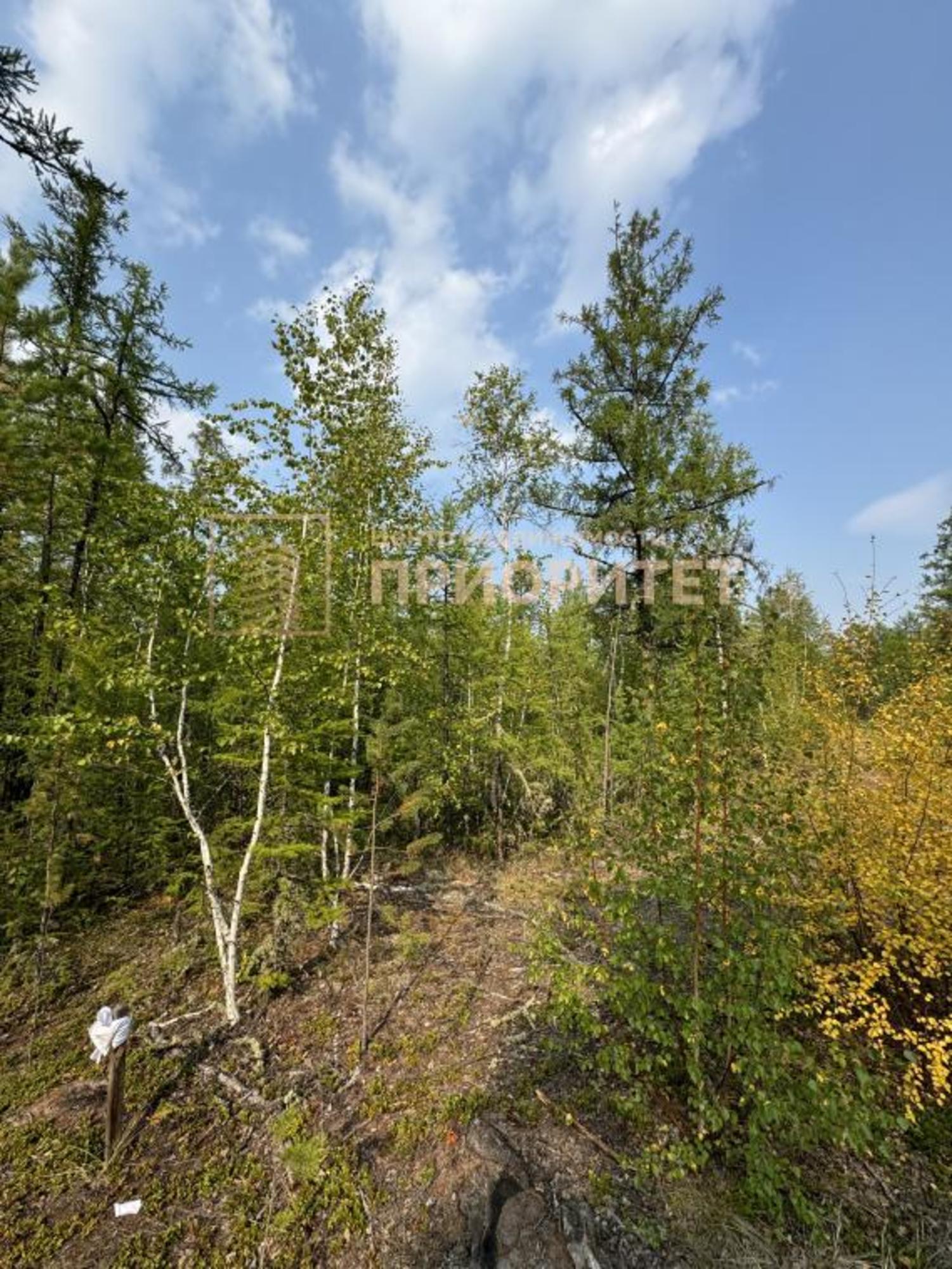 Купить землю, земельный участок за 1 500 000 рублей на Вилюйский тракт