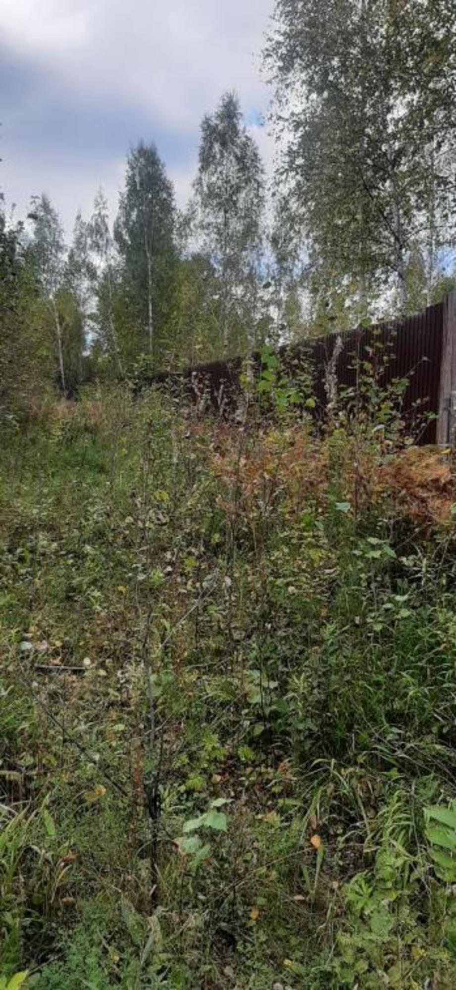 Купить землю, земельный участок за 1 200 000 рублей на Дружная