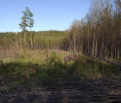 земля 10 сот СНТ Атлант
