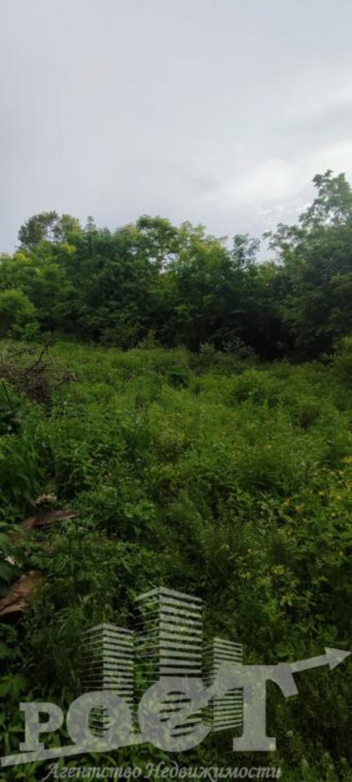 Земельный участок СТ Дубки