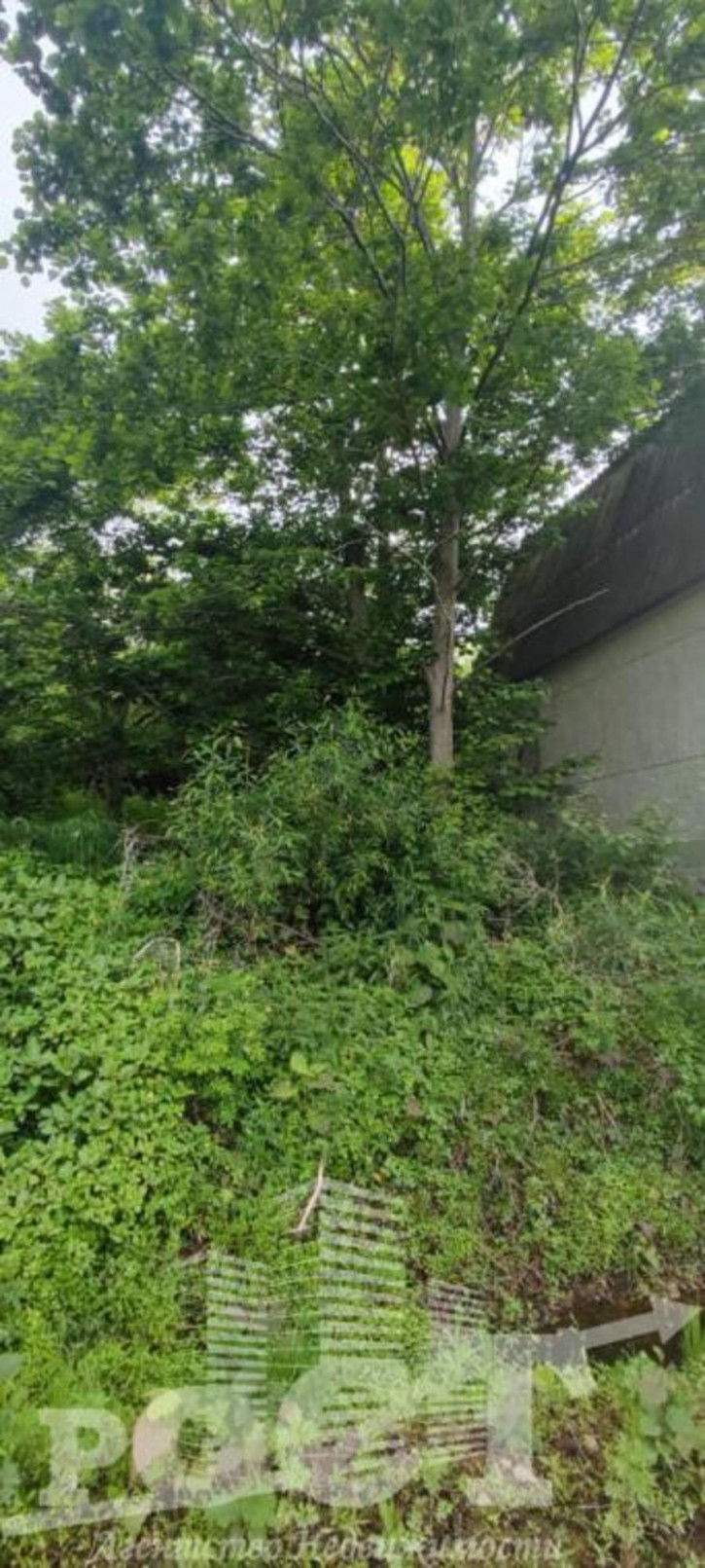 Земельный участок СТ Дубки