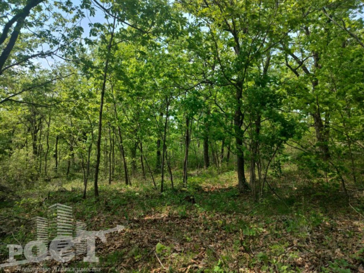 Земельный участок СТ Меркурий-1