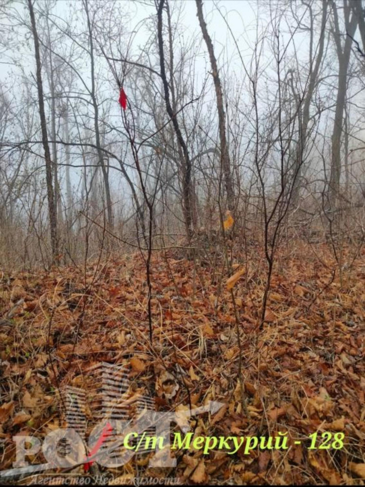 Земельный участок СТ Меркурий-1