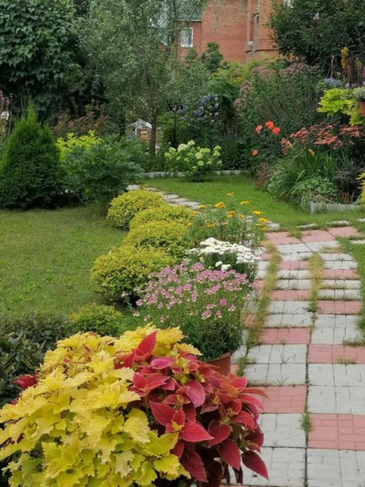 Коттедж/дом Высоцкого, 24