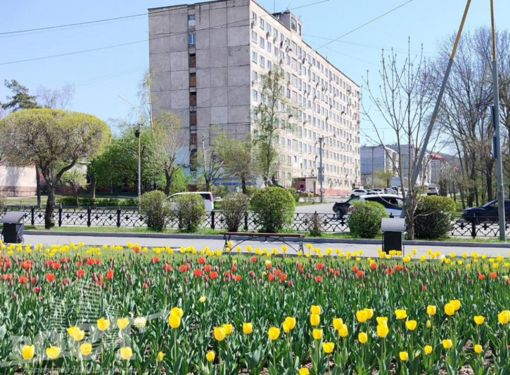 Комната Фрунзе, 54