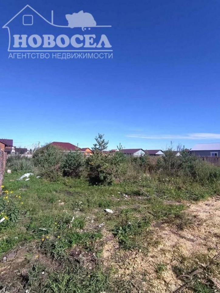 Земельный участок Данила Панкина Земельный участок Данила Панкина