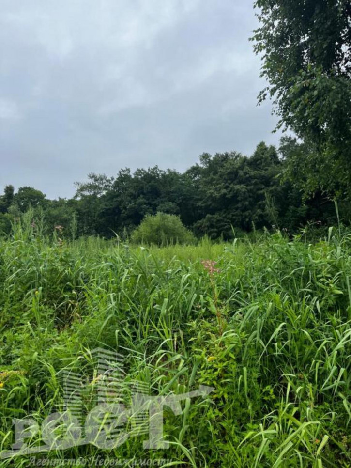 Земельный участок СНТ Родник-1, Гагарина