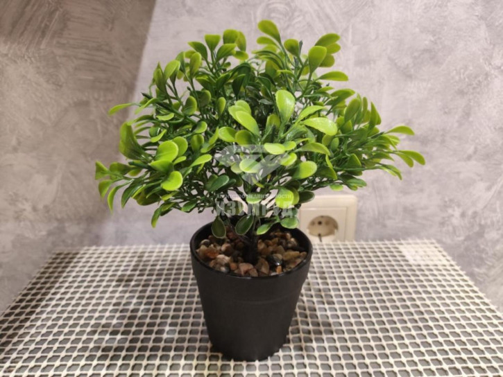 1-комн квартира Ленина пр-кт, 135б