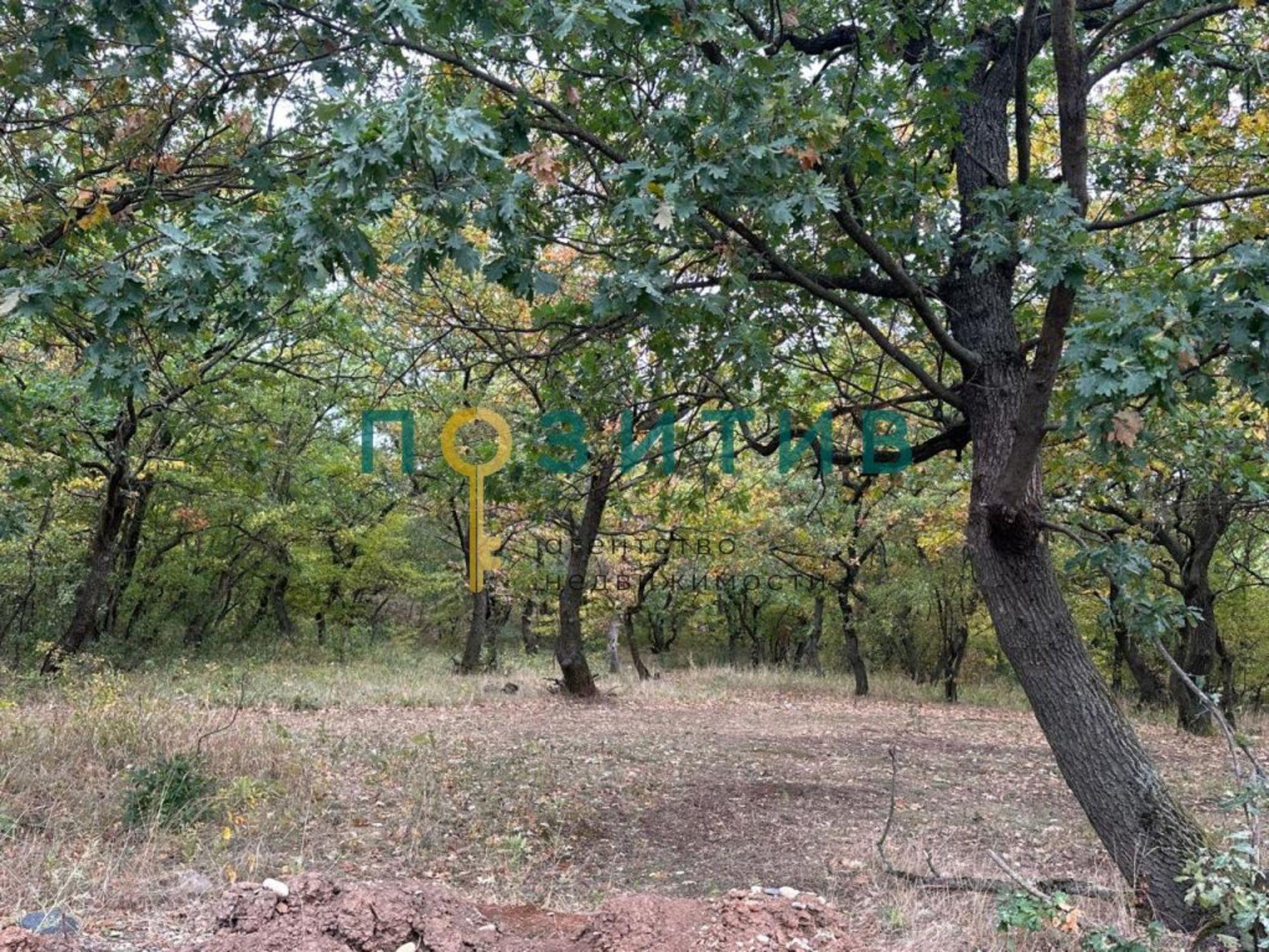 Купить дачу, дом, коттедж за 9 700 000 рублей на Рябиновая