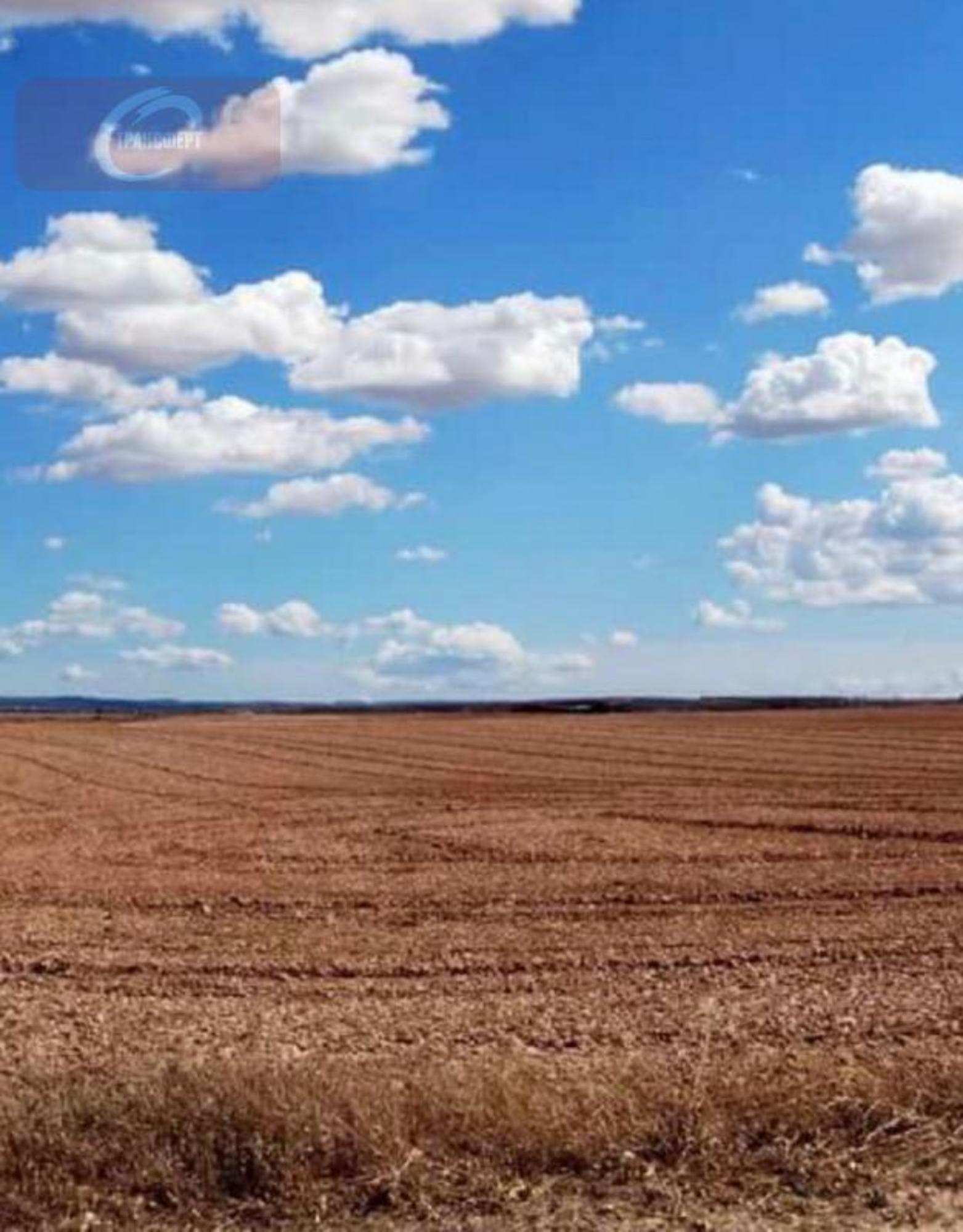 Продажа участка Рогачевка село