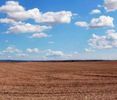 земля 12300 сот Рогачевка село земля 12300 сот Рогачевка село