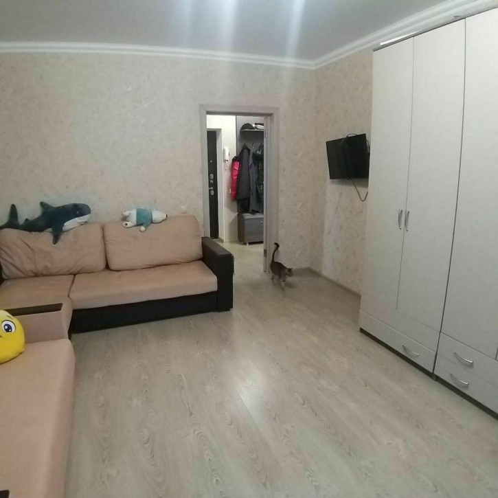 1-комн квартира Оранжерейная ул, 17