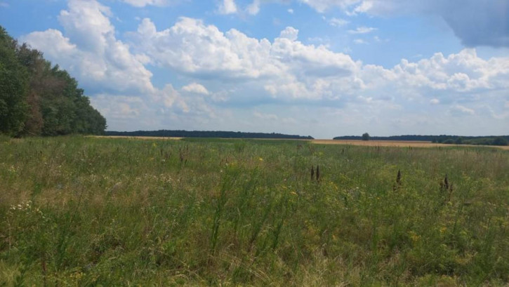 Земельный участок Рыкань Земельный участок Рыкань