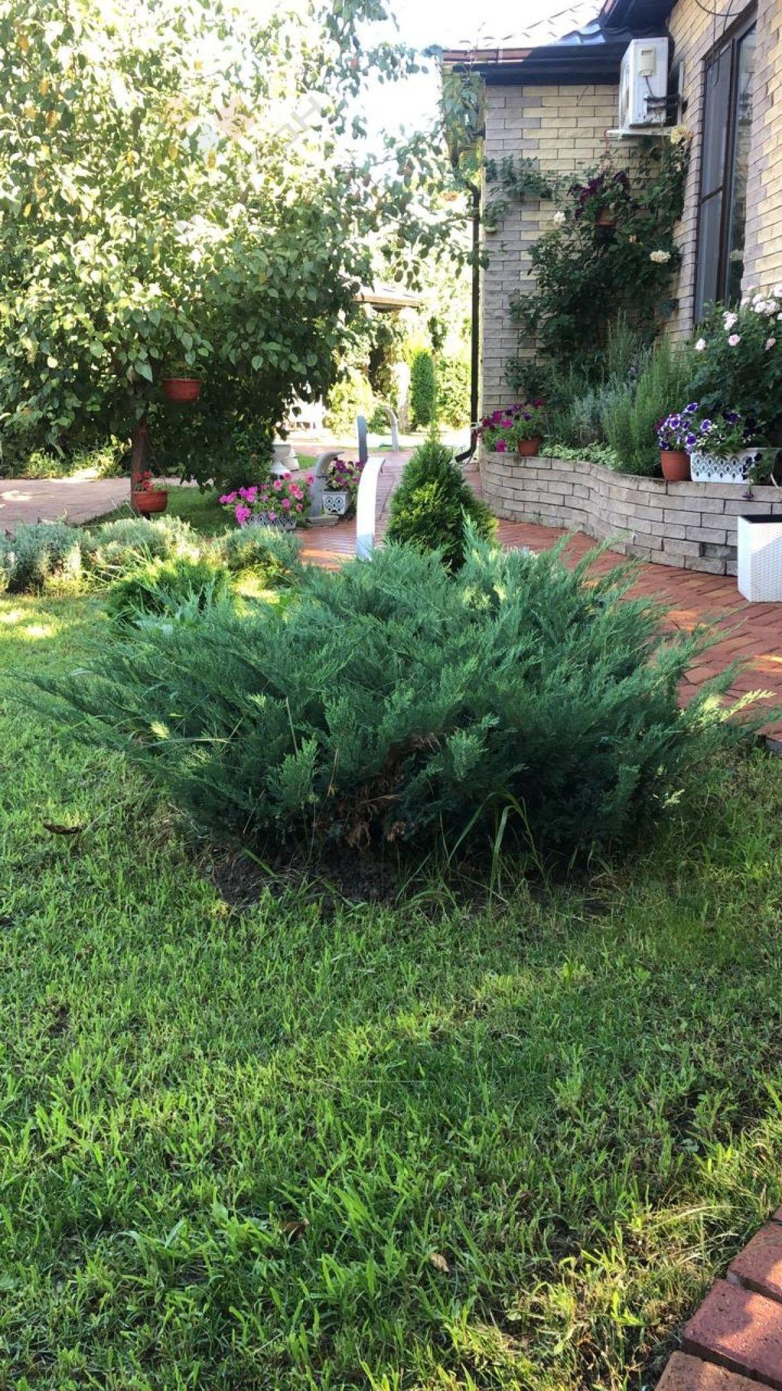 Купить дачу, дом, коттедж за 7 500 000 рублей на Берёзовая ул, Пролетарская 75/1